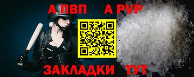 a pvp Тара